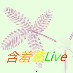 含羞草福利官网在线观看