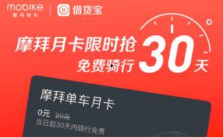 借贷宝福利视在线