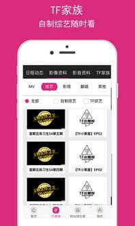 福利视频在线公开,在线公开的精彩瞬间与温情故事