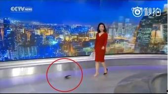 女主播在线福利视频看,揭秘网络直播背后的秘密