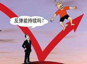 没有风险的福利在线观看