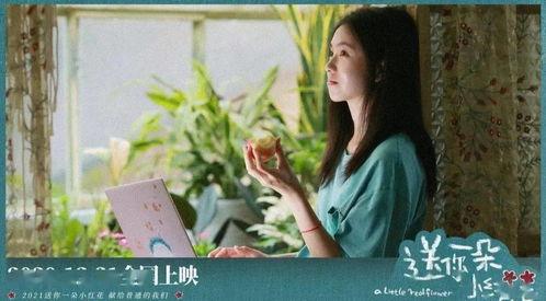 哦美福利片在线观看,哦美福利片在线观看之旅