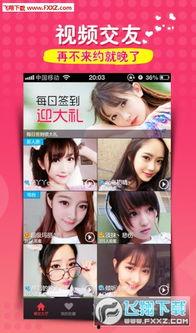 STEVT福利视频在线,揭秘在线福利新体验